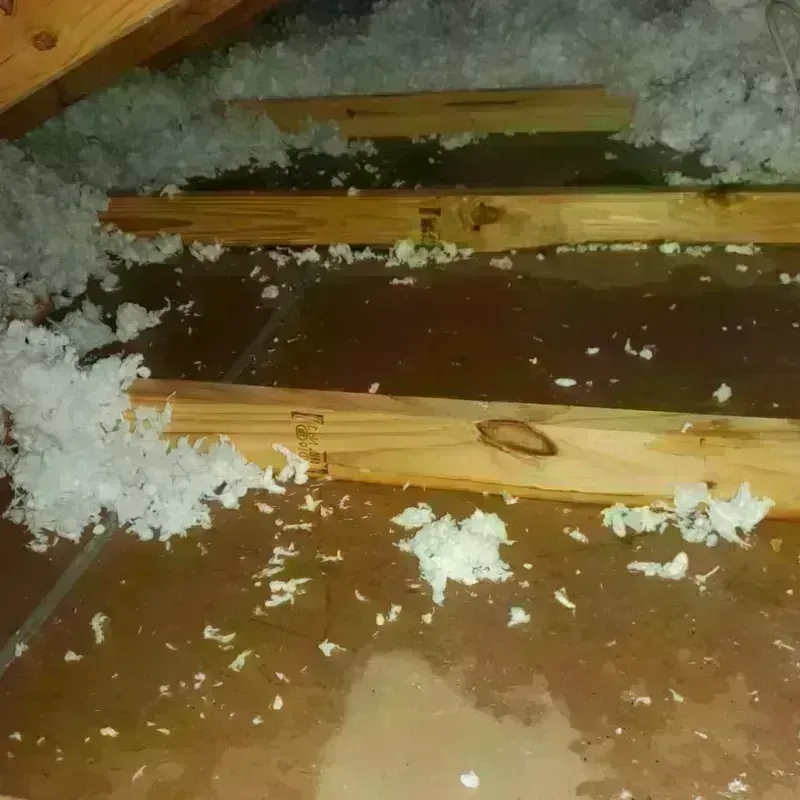 Attic Water Damage in Brookville, OH